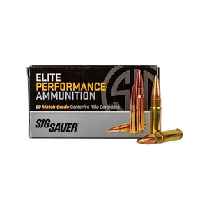 Sig Sauer TAC-TX T300BLK110TTX2 .300 Blackout 110gr Ammunition