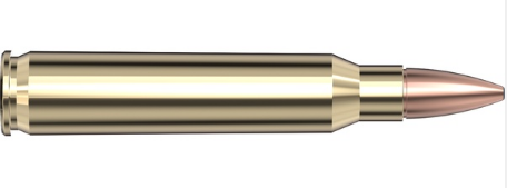 Hornady 250th Frontier Ammo 223 Rem. 55 gr. FMJ 250 rd.